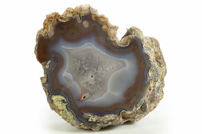 Polished Banded Laguna Agate Half - Mexico #323891